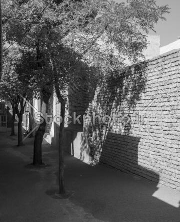 عکس سیاه سفید برای چاپ