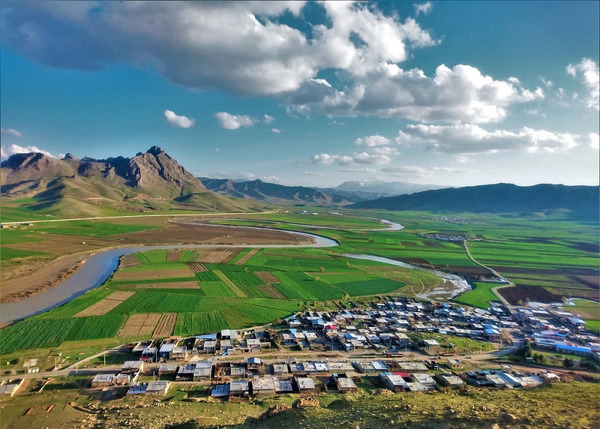 عکس سفید برگ جوانرود