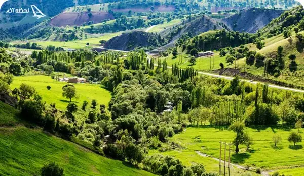 عکس سفید برگ جوانرود