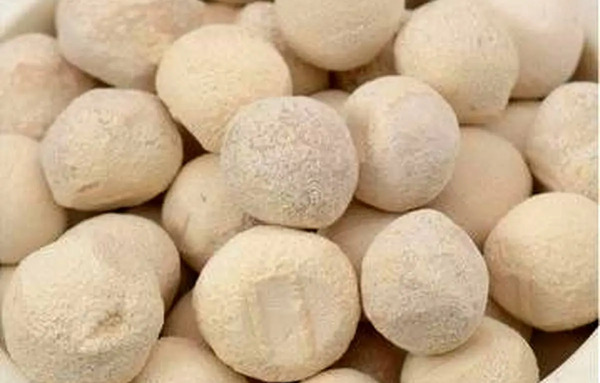 عکس سفیداب پنبه رو