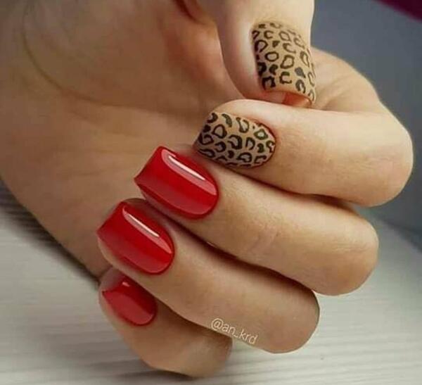 عکس ناخن پلنگی قرمز