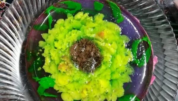 عکس ژله تزریقی گل افتابگردان
