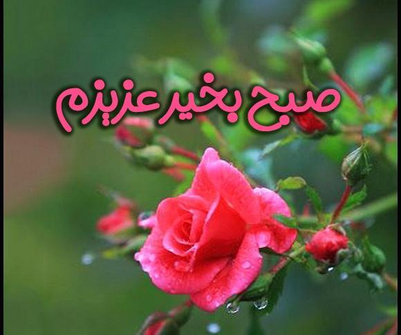 عکس سلام صبح بخیر عزیزم