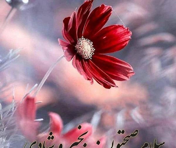 عکس سلام صبح بخیر عزیزم