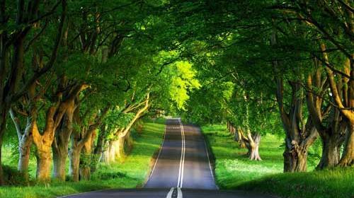عکس برای صفحه گوشی از طبیعت