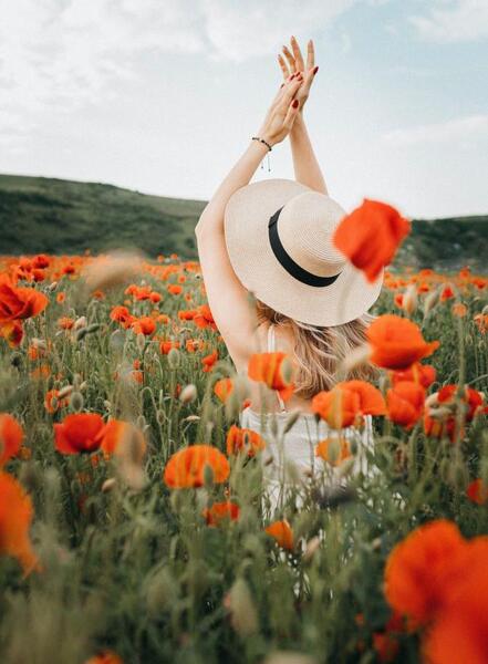 عکس صفحه گوشی تابستانی