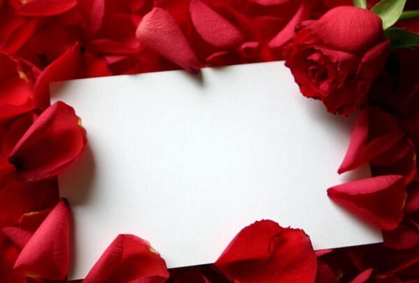 عکس یه صفحه ی سفید
