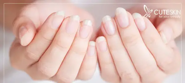 عکس ناخن سالم و زیبا