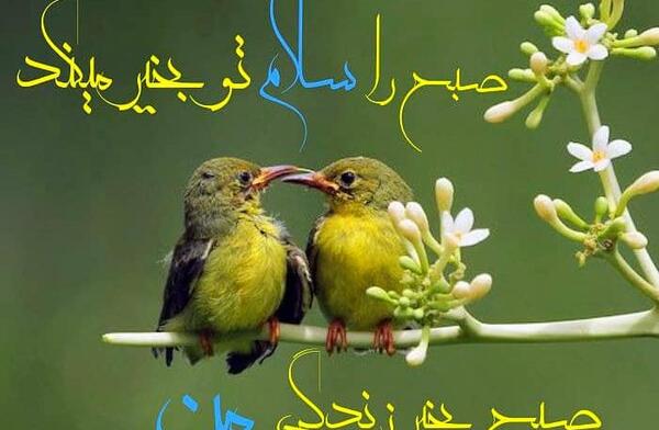 عکس سلام صبح بخیر همسرم