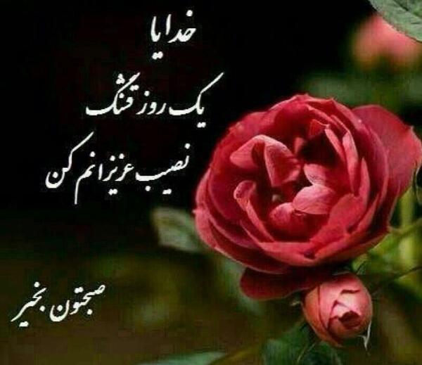عکس صبح بخیر کیوتام