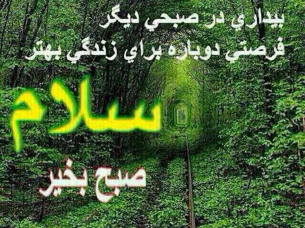 عکس صبح بخیر کیوتام