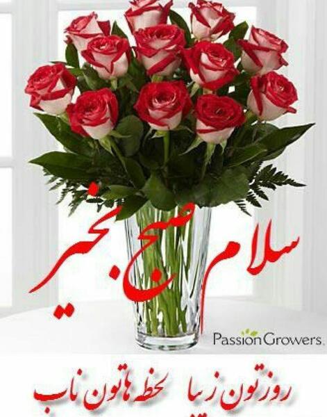 عکس صبح بخیر گروه فامیلی