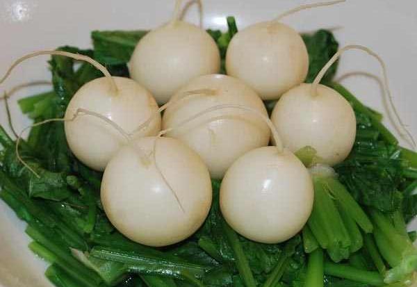 عکس شلغم و چغندر