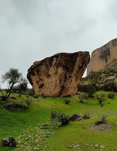 عکس علی مردان خان چهارلنگ