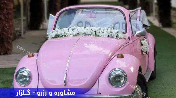 عکس ماشین فولکس قورباغه ای