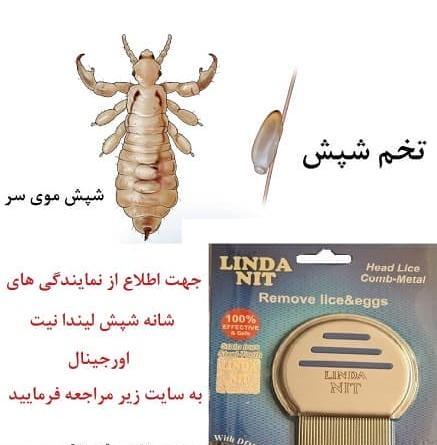 عکس های شپش ها