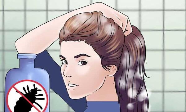 عکس تخم های شپش