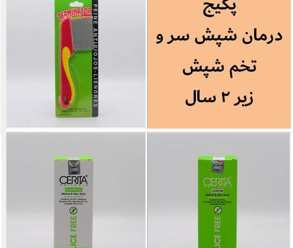 عکس تخم شپش واقعی