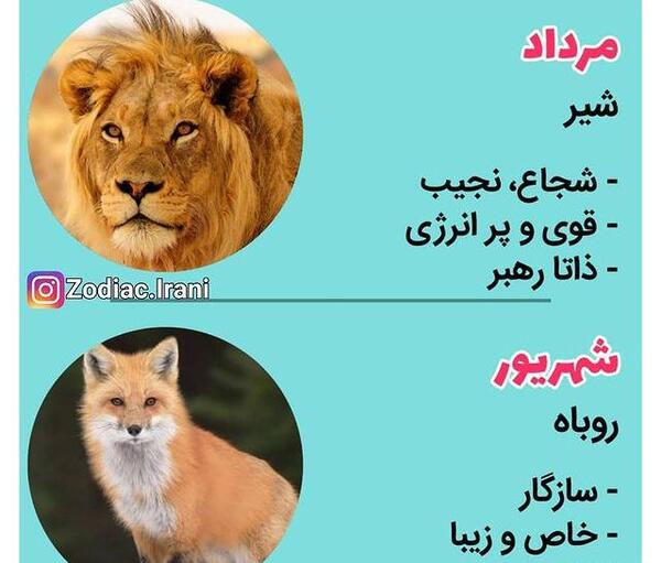 عکس حیوان ماه اذر