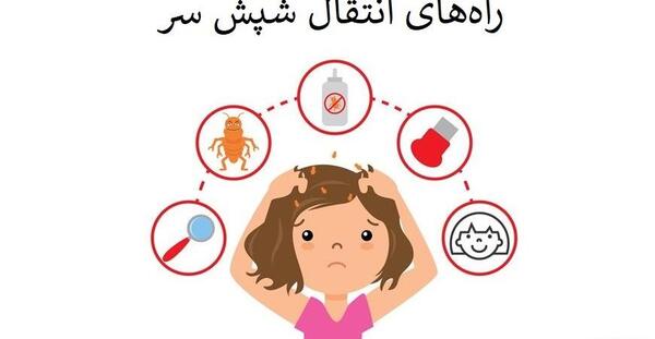 عکس های کارتونی شپش