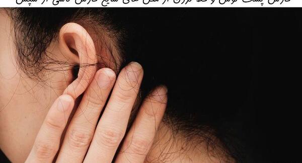 عکس و فیلم شپش