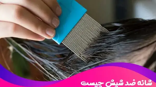 عکس شانه شپشی
