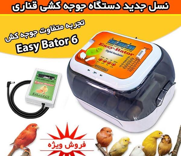 شپش عکس شپشک قناری