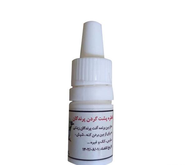 شپش عکس شپشک قناری