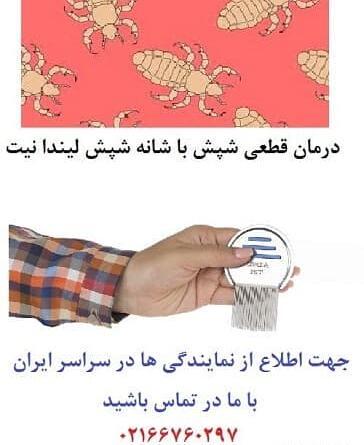 علائم شپش عکس رشک مرده و زنده