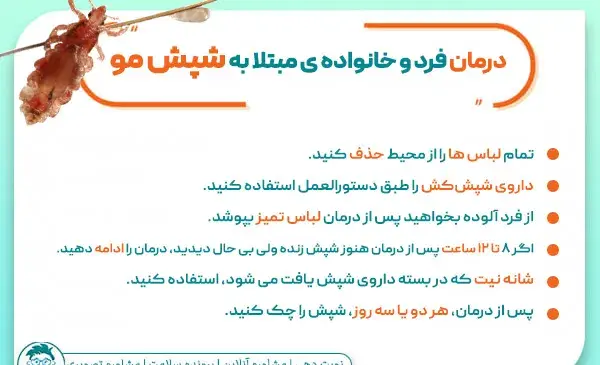 عکس شپش در موی کودکان