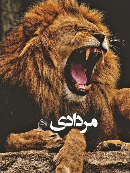عکس شیر ماه تولد مرداد