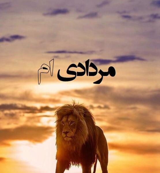عکس شیر ماه تولد مرداد