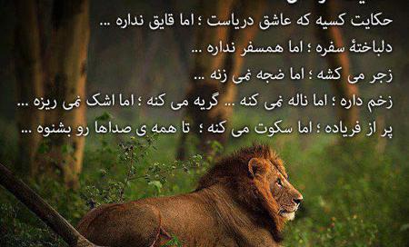 عکس شیر ماه تولد مرداد