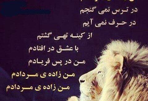 عکس شیر ماه تولد مرداد