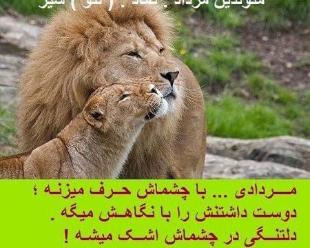 عکس شیر ماه تولد مرداد