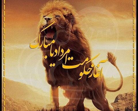 عکس شیر ماه تولد مرداد
