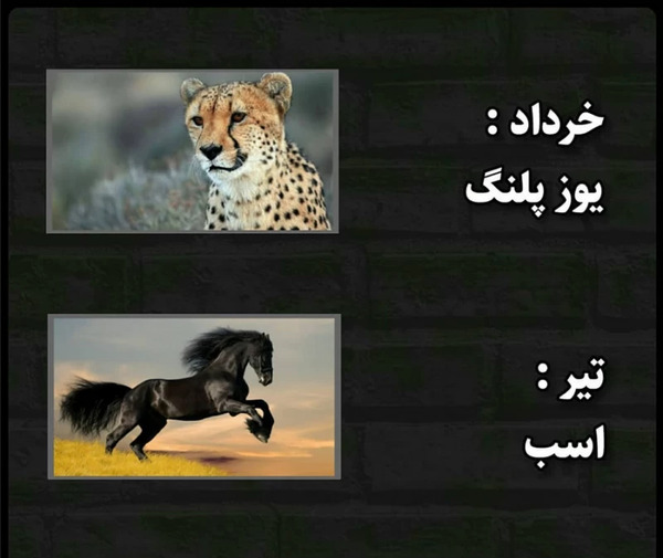 عکس حیوان ماه تولد تیر