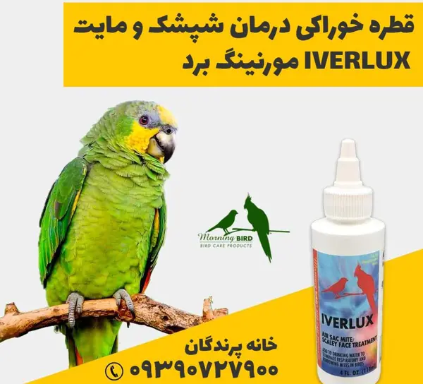 شپشک عکس شپش پرندگان