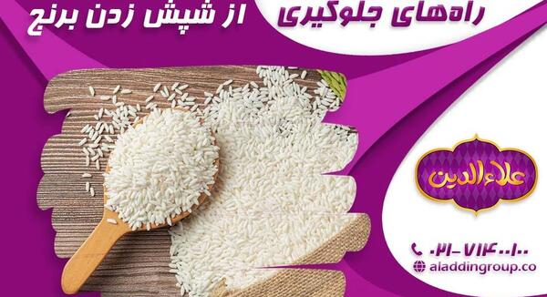 عکس برنج شپشک زده