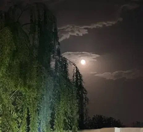 عکس ماه و دست