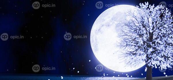 عکس ماه و ستاره شب