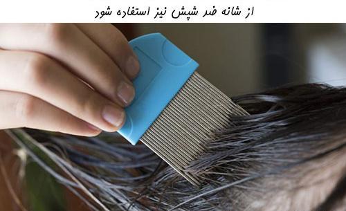 عکس عكس شپش سر