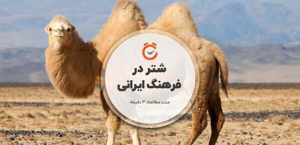 عکس چشم های شتر