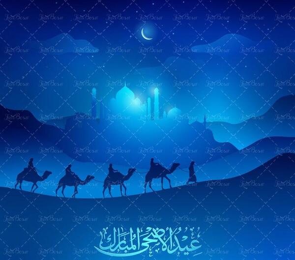 عکس وکتور شتر