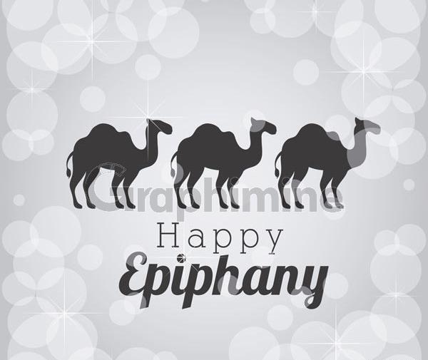 عکس وکتور شتر