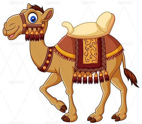 عکس وکتور شتر