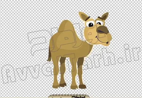 عکس وکتور شتر