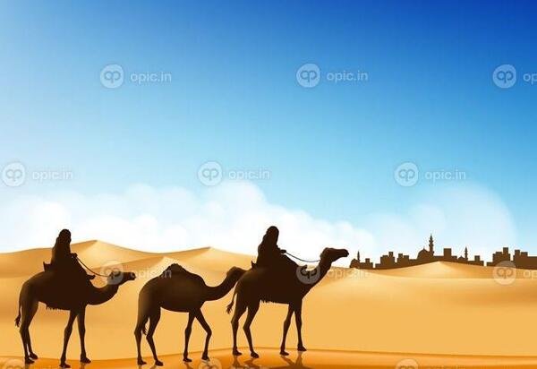 عکس وکتور شتر