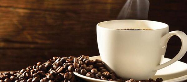 فال قهوه عکس شتر