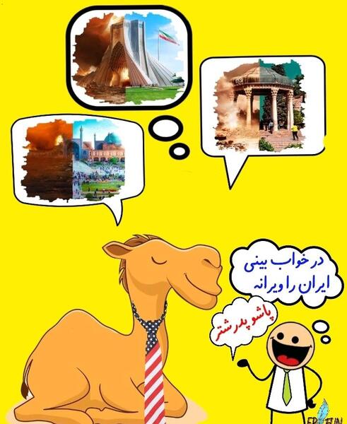 عکس خوابیدن شتر